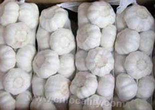 Taicang white garlic