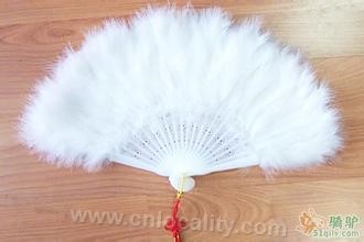 feather fan