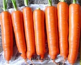 Tieling carrot