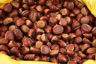 Huanren chestnut