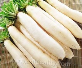 Yongkang radish