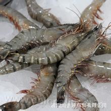 Wild prawn