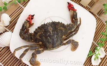 Wild flower-covered crab