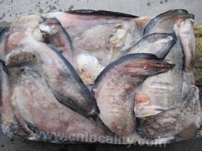 Xiansheng fish