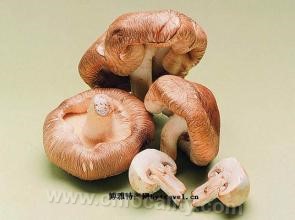 Liuzhongcun edible fungi