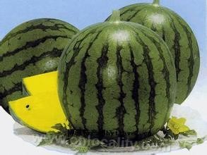 Xiaolan yellow meat watermelon