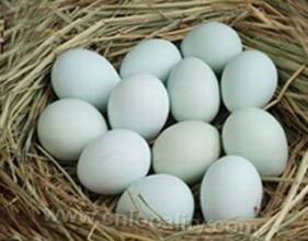 &quot;Lvjian&quot; brand nutritious eggs