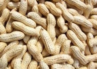 Kangping peanut