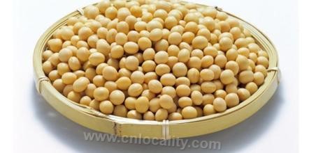 Dunhua small soybean