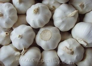 Garlic with white skin