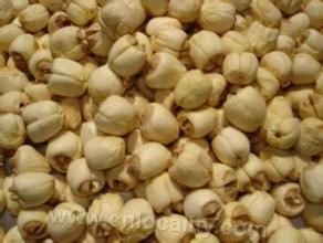 Lotus seed rice