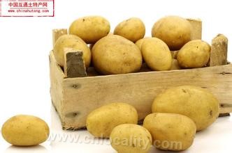 Baicheng potato