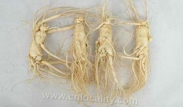 Shuzheng ginseng