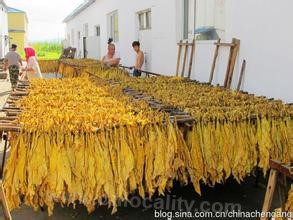 Liuhe tobacco