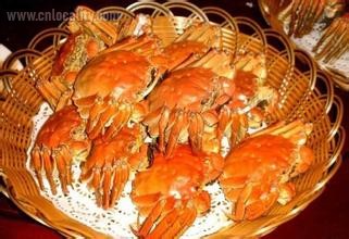 Golden sea crab