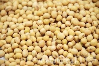 Linkou soybean