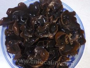 Auricularia hailin