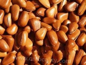 Raohe pine nuts