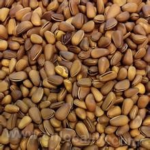 Yichun pine nuts