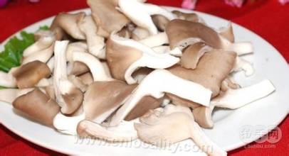 Oyster mushroom