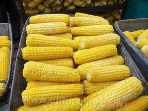 Nehe corn