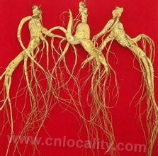 Northeast ginseng