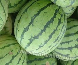 Daxing watermelon