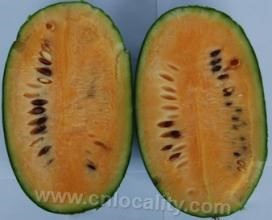 Collapse melon