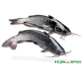 Baoshan fish