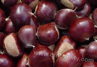 Yanshan chestnut