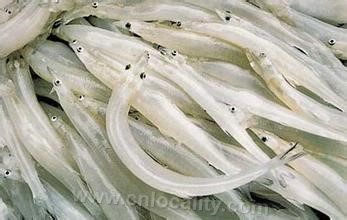 Noodles fish