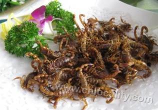 Fried scorpion