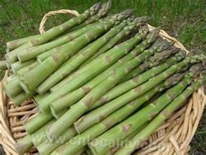 Shanghai asparagus