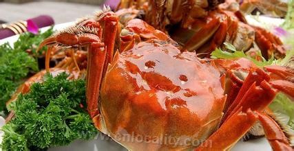 Jingjiang Chinese mitten crab