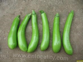 Qidong green eggplant