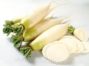 Rugao white radish