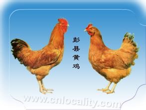 Huaiyin yellow chicken