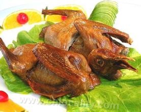 Suyue squab