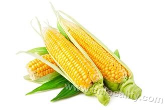 Fruit corn