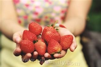 Lishui strawberry