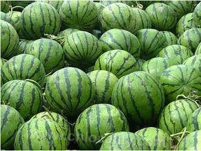 Jinghe watermelon