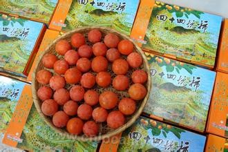 Yongkang Fangshan persimmon