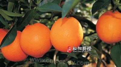 Songyang navel orange