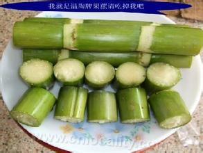 Taoshan sugarcane