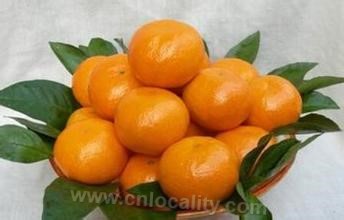 Tiantaishan tangerine