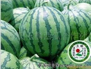 Yulin watermelon