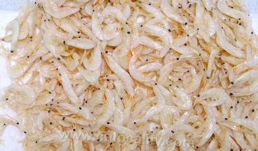 Shengsi shrimp