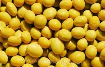 Tongling soybean