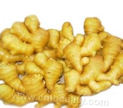 Datong ginger