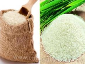 Qingcaoxiang rice